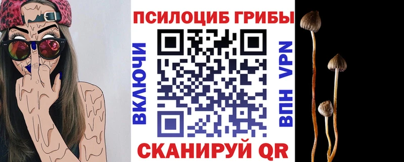 Купить где  Новороссийск  Галлюциногенные грибы MAGIC MUSHROOMS 