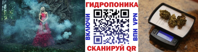 Купить закладки  Новороссийск  Каннабис индика 